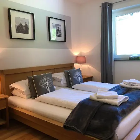 Mayrhofen Apartments Апартаменты *